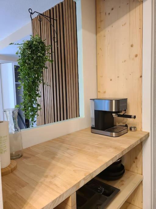 Joli Studio Renove Situe Au Pied Des Thermes Amelie-les-Bains-Palalda ภายนอก รูปภาพ