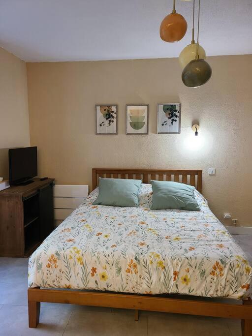 Joli Studio Renove Situe Au Pied Des Thermes Amelie-les-Bains-Palalda ภายนอก รูปภาพ